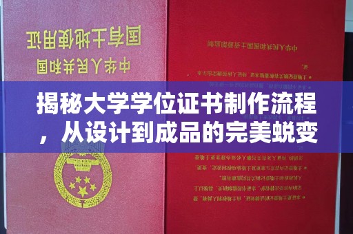 沈河揭秘大学学位证书制作流程，从设计到成品的完美蜕变